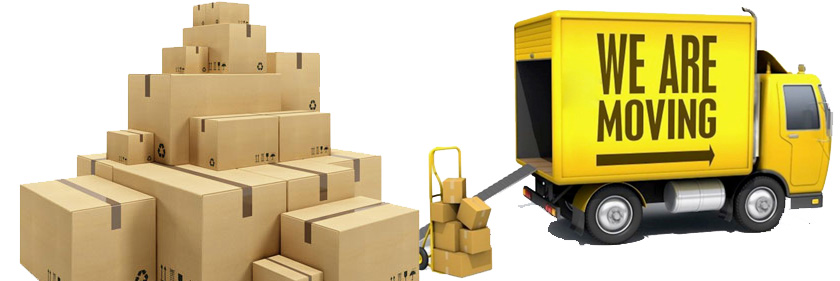 Packing And Moving Service